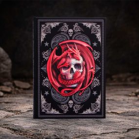 Skull Embrace Journal (AS) 17cm