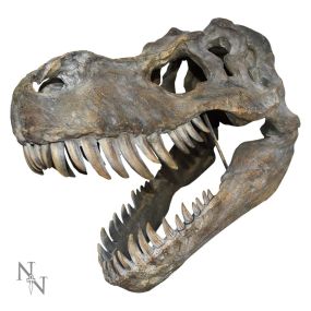 Tyrannosaurus Rex Skull Large 51.5cm B/strap Dinosaurs Father's Day