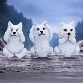 Three Wise Wolf Pups