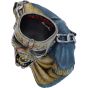 Iron Maiden Piece of Mind Bust Box (Small) 12cm Band Licenses Every Day Is Halloween