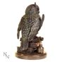 Ulula 23cm Owls Gifts Under £100