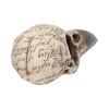 Edgar's Raven Skull 21cm Animal Skulls Father's Day