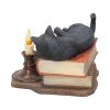 The Witching Hour (LP) 20.5cm Cats Last Chance to Buy