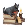 The Witching Hour (LP) 20.5cm Cats Last Chance to Buy