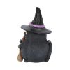 Lucky Black Cat 12cm Cats NEMESIS NOW | EASTER SALE