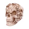 Skull of Skulls (JR) 18cm Skulls Halloween RRP Above 20