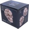 Skull of Skulls (JR) 18cm Skulls Halloween RRP Above 20