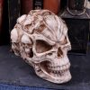 Skull of Skulls (JR) 18cm Skulls Halloween RRP Above 20