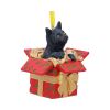 Present Cat Hanging Ornament (LP) 9cm Cats Verkaufte Artikel