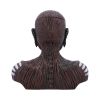 Iron Maiden The Book of Souls Bust Box (Small) Band Licenses Band Merch Product Guide
