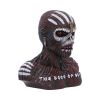 Iron Maiden The Book of Souls Bust Box (Small) Band Licenses Band Merch Product Guide