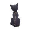 Fortune Kitty 27cm Cats Halloween RRP Above 20