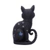 Nine Lives 22cm Cats Gifts Under £100