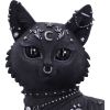 Nine Lives 22cm Cats Gifts Under £100