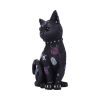 Bad to the Bone 22cm Cats NEMESIS NOW | EASTER SALE