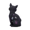 Bad to the Bone 22cm Cats NEMESIS NOW | EASTER SALE