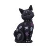 Bad to the Bone 22cm Cats NEMESIS NOW | EASTER SALE
