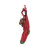 Magical Arrival Hanging Ornament (AS) 13.5cm Dragons Verkaufte Artikel