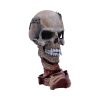 Metallica Pushead Skull 23.5cm Band Licenses Licensed Rock Bands