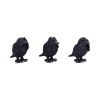 Three Wise Ravens 8.7cm Ravens Top 200 None Licensed
