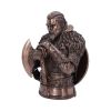 Assassin's Creed Valhalla Eivor Bust (Bronze) 31cm Gaming Sale Figurines