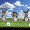 Three Wise Donkeys 11cm Animals Gifts Under £100