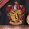 Harry Potter Hermione Collectible Tankard 15.5cm Fantasy NEMESIS NOW | EASTER SALE
