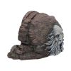 Harry Potter Chamber of Secrets Box 25cm Fantasy Top 200