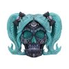 Drop Dead Gorgeous - Cute and Cosmic 19.5cm Skulls Top 200 None Licensed