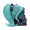 Drop Dead Gorgeous - Cute and Cosmic 19.5cm Skulls Top 200 None Licensed
