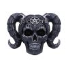 Drop Dead Gorgeous - Solve and Coagula 20.5cm Skulls Halloween RRP Above 20