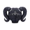 Drop Dead Gorgeous - Solve and Coagula 20.5cm Skulls Halloween RRP Above 20