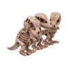 Three Wise Tyrannosaurus Rex Skeletons 9.3cm Dinosaurs Top 200 None Licensed