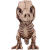 Three Wise Tyrannosaurus Rex Skeletons 9.3cm Dinosaurs Top 200 None Licensed