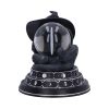 Purrah's Fortune 12.2cm Cats Top 200 None Licensed
