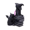 Cult Cuties Curious Cauldron 18.5cm Cats Top 200 None Licensed