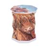 Highland Cow Foldable Lamp 21cm Animals Top 200 None Licensed
