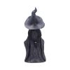 Little Souls - Dazzle 12.5cm Witches Top 200 None Licensed