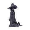 Little Souls - Sparkle 11.5cm Witches Witchcraft and Wiccan Product Guide