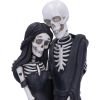 Eternal Companion 24cm Skeletons Top 200