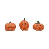 Three Wise Pumpkins 8cm Horror Stock Release Winter 2025 Launch