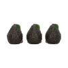 Three Wise Avocados 8.5cm Nicht spezifiziert NEMESIS NOW | EASTER SALE