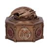 House of the Dragon Syrax Box 16cm Dragons Year Of The Dragon