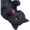 Black Cat Guzzler 24cm Cats Gifts Under £100