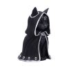 Zefur (Large) 23.2cm Cats Top 200 None Licensed