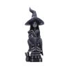 Little Souls - Shine 13.5cm Witches Top 200 None Licensed