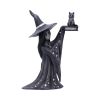 Little Souls - Shimmer 12.5cm Witches Top 200 None Licensed