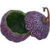 One Piece Devil Fruit Box 12.8cm Anime Out Of Stock