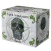Aged Pentagram Skull 18.8cm Skulls Gifts Under £100