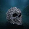 Scaled Remains 15.4cm Skulls Gifts Under £100